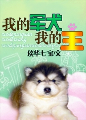我的軍犬我的王小说封面
